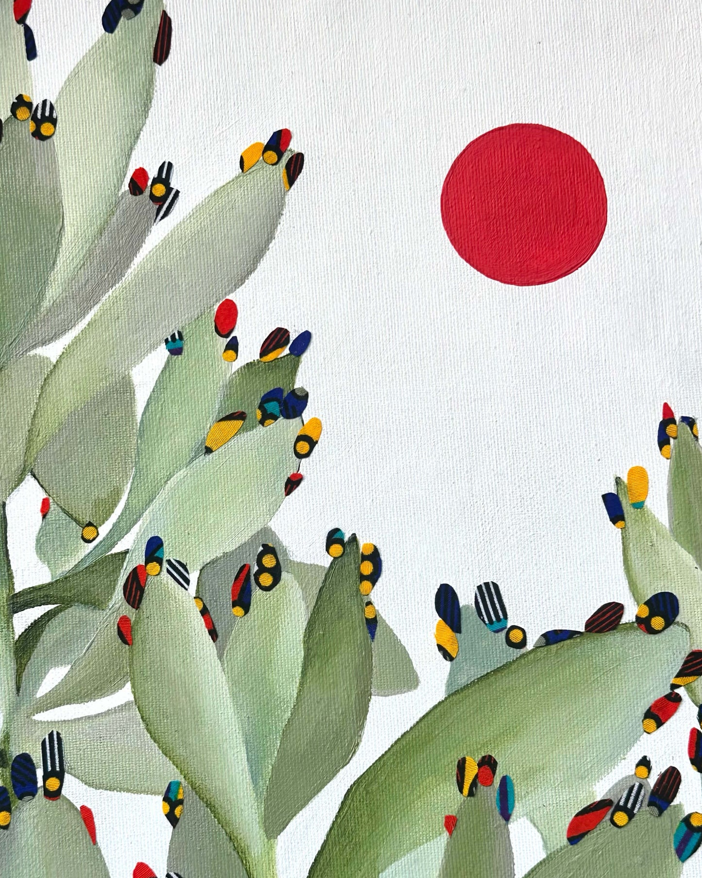 Panda Plant