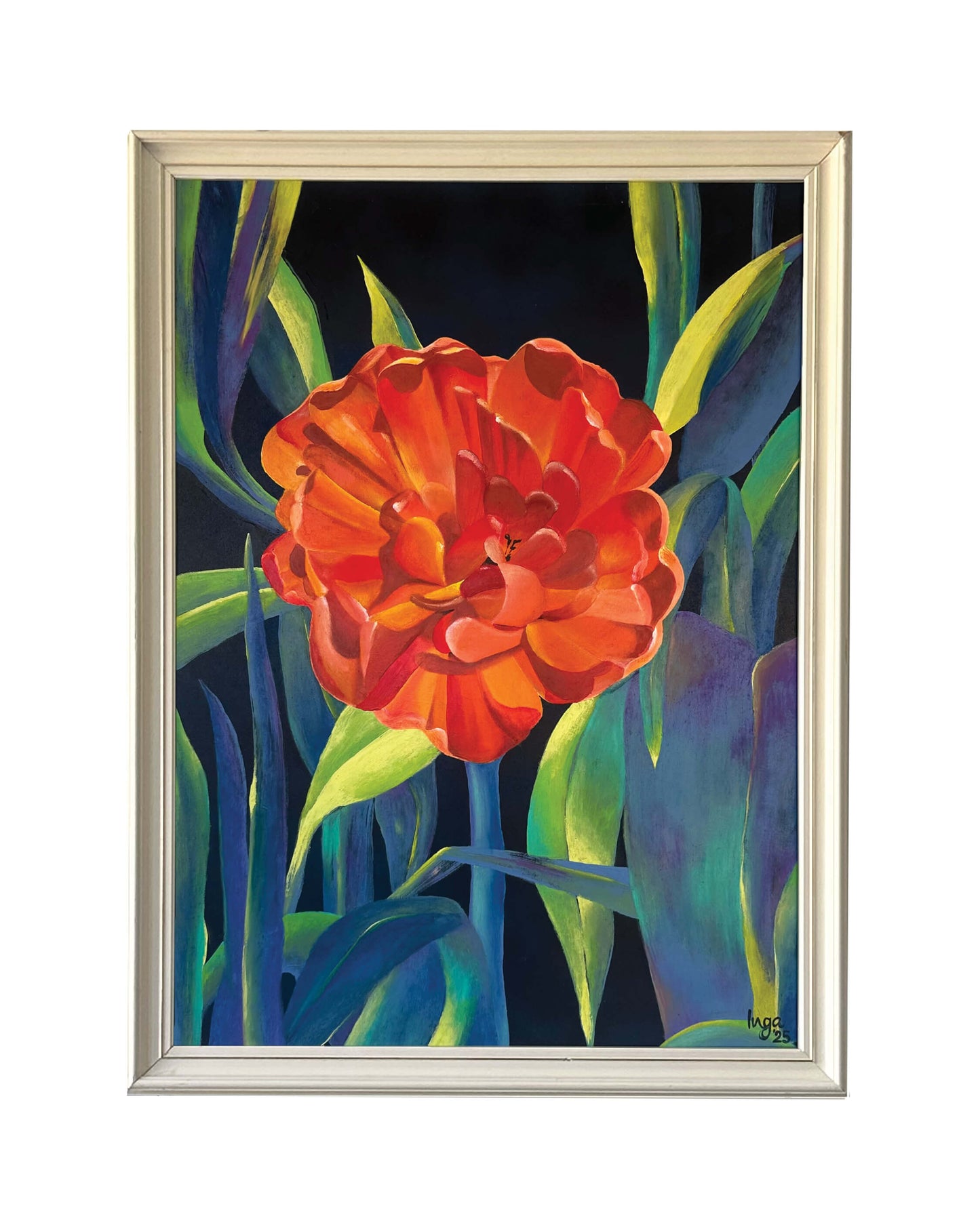 Tulpe im Prenzlauer Berg