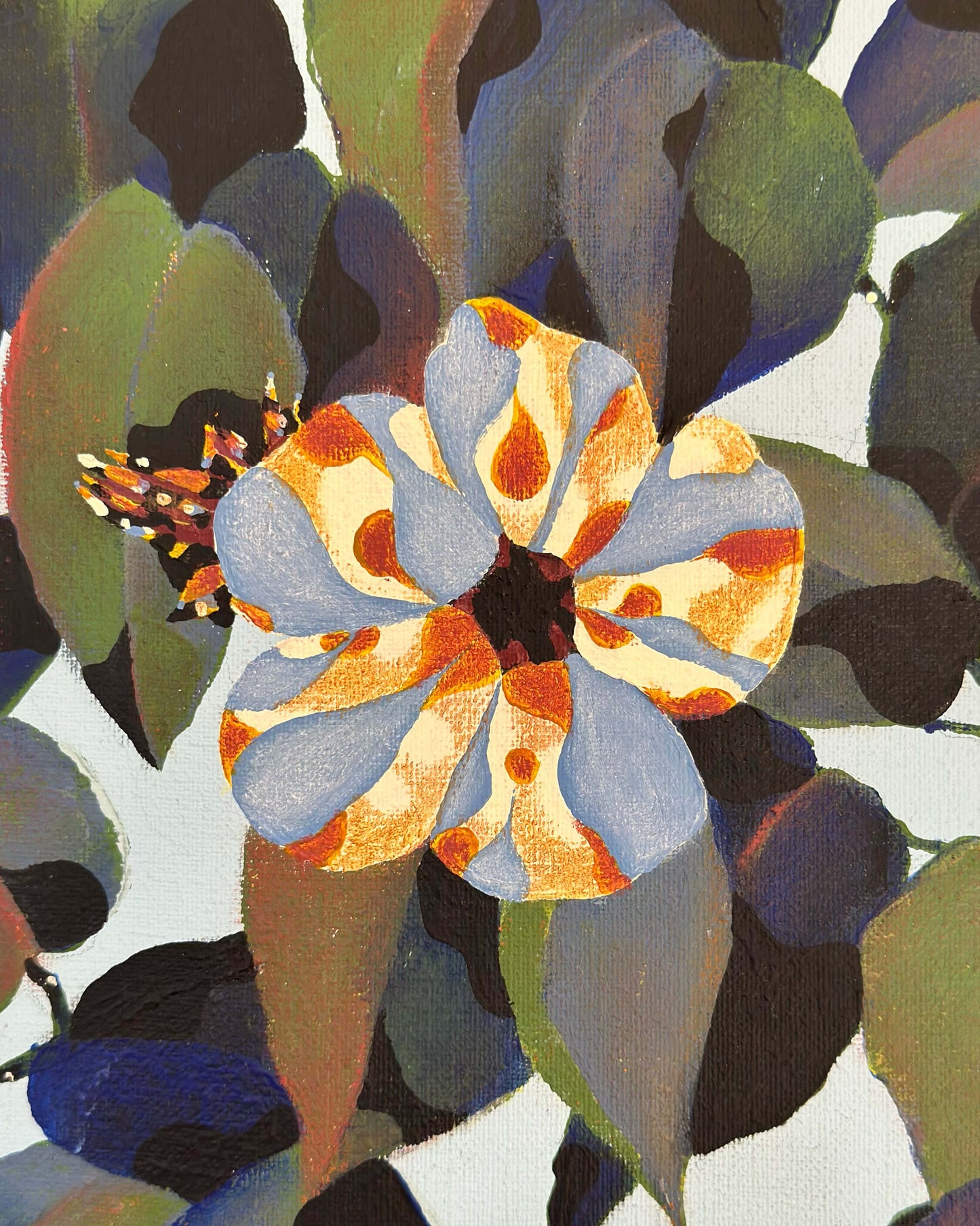 Vivid Hibiscus