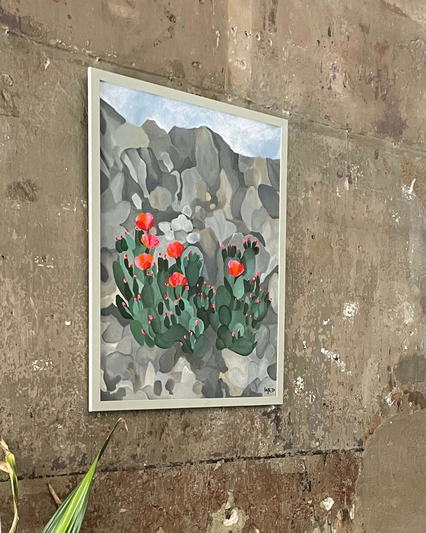 Blooming Cactus