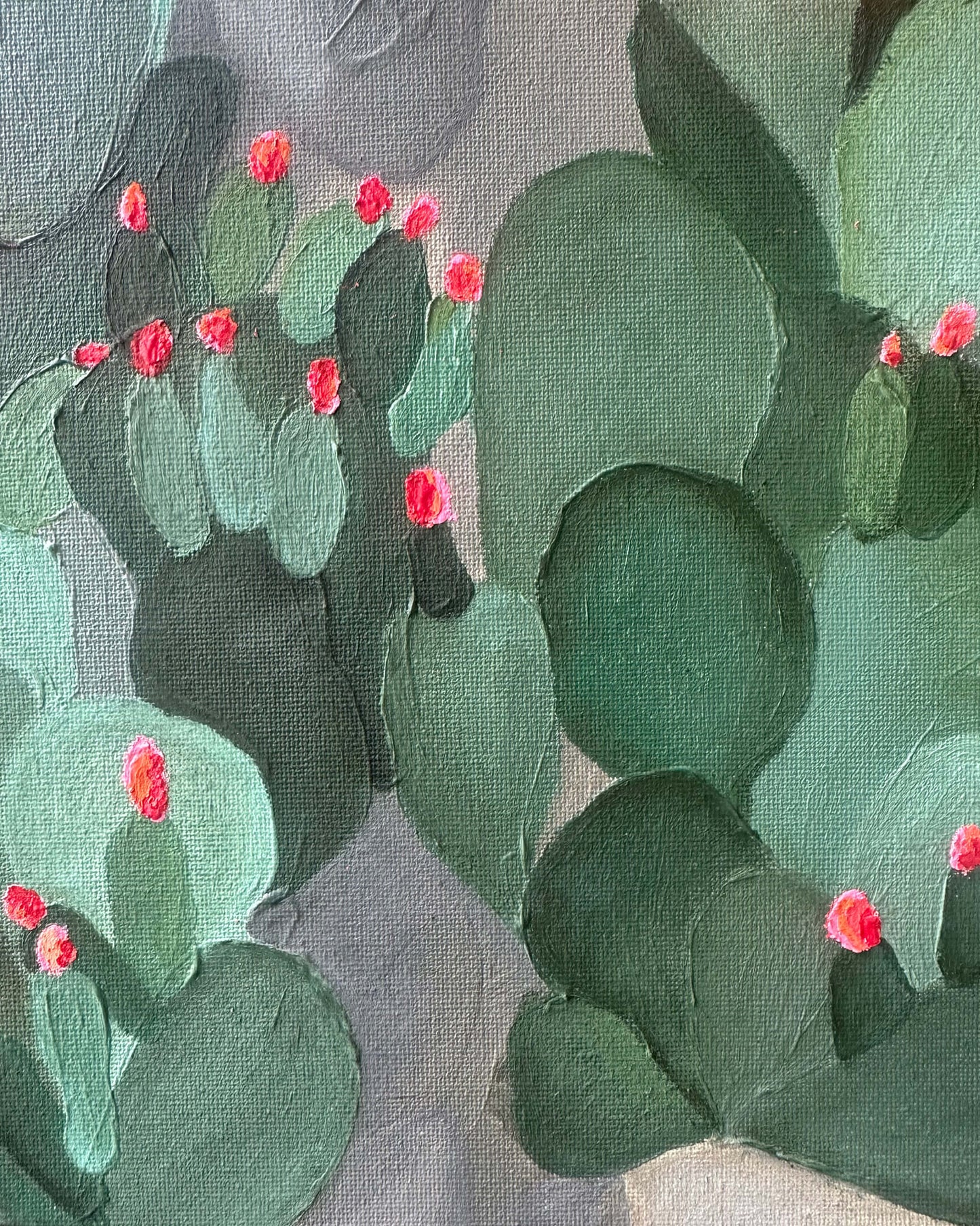 Blooming Cactus