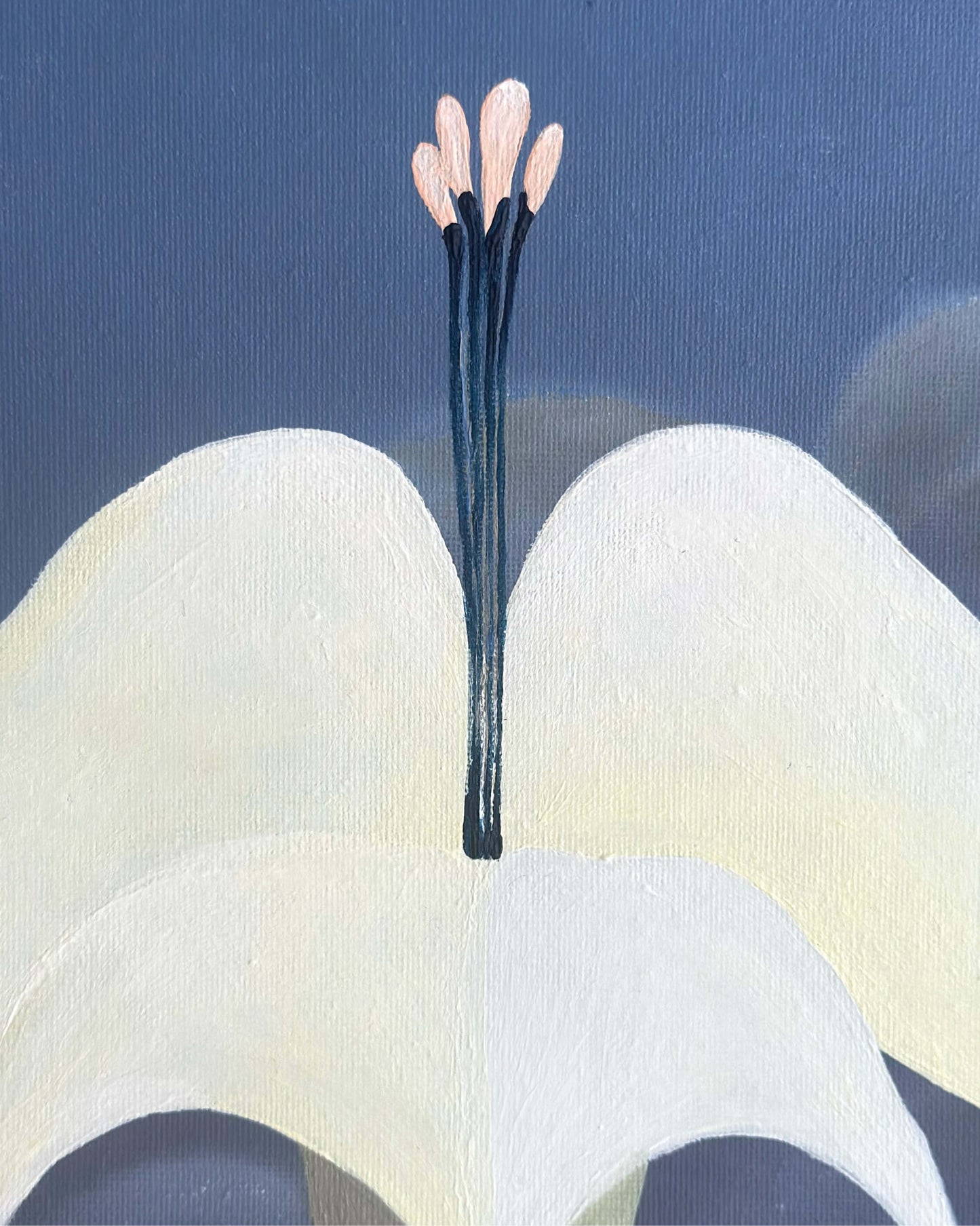 Blue Moon Flower