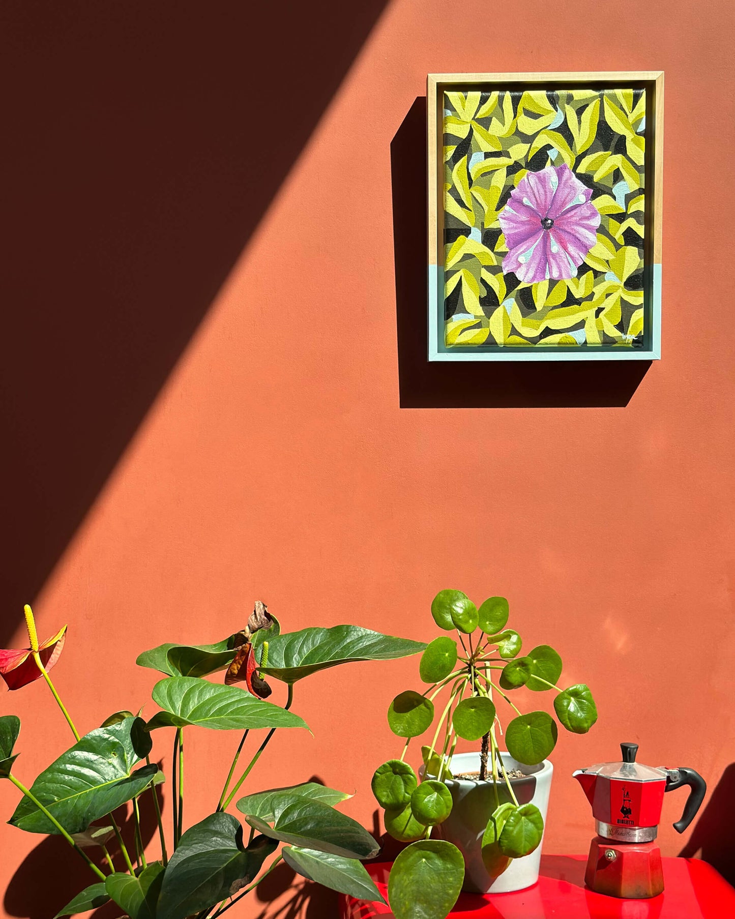 Cairo Morning Glory