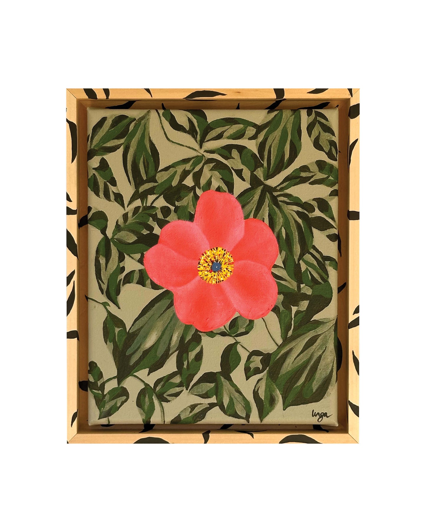 Japanese Camellia