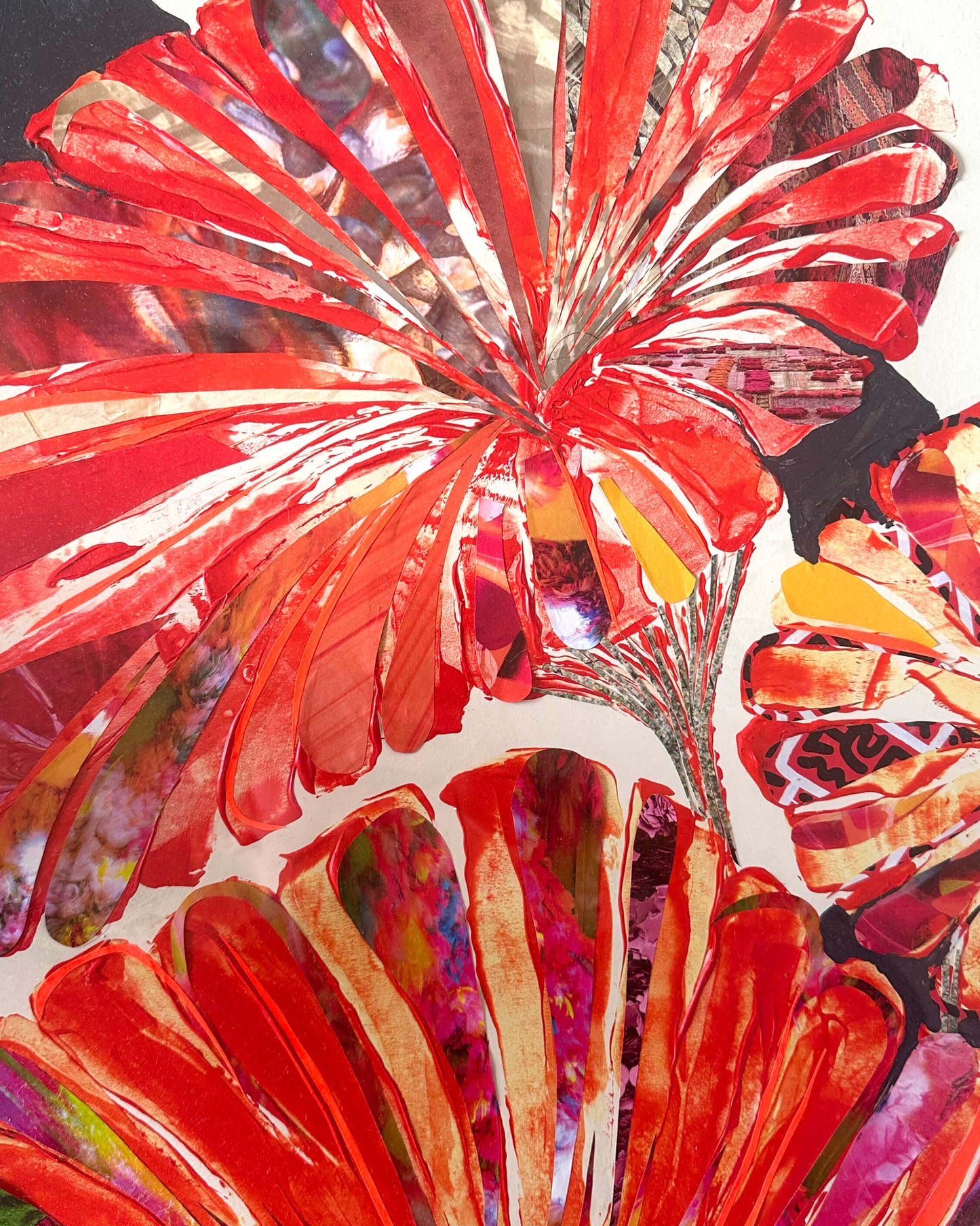Lotus Leaves