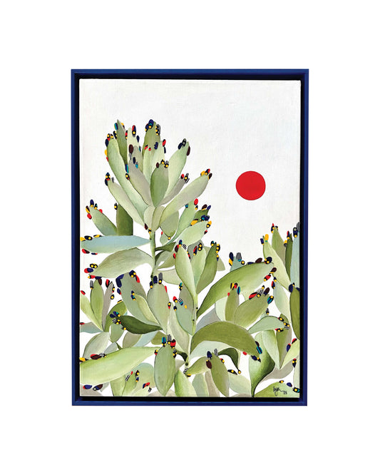 Panda Plant