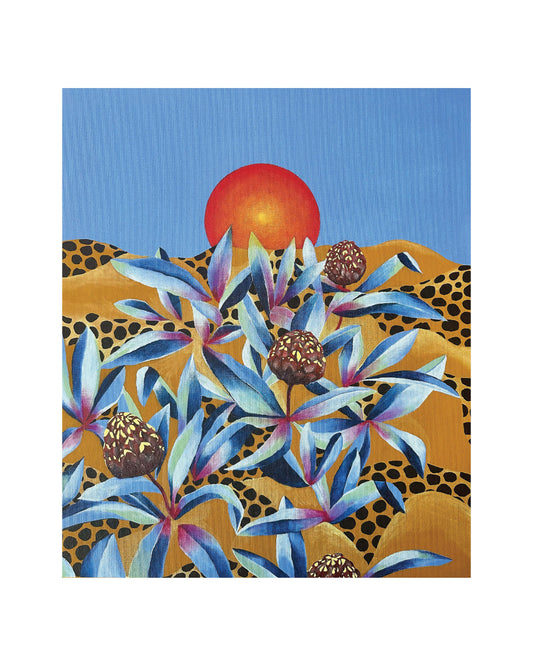 Patterns Of A Setting Sun