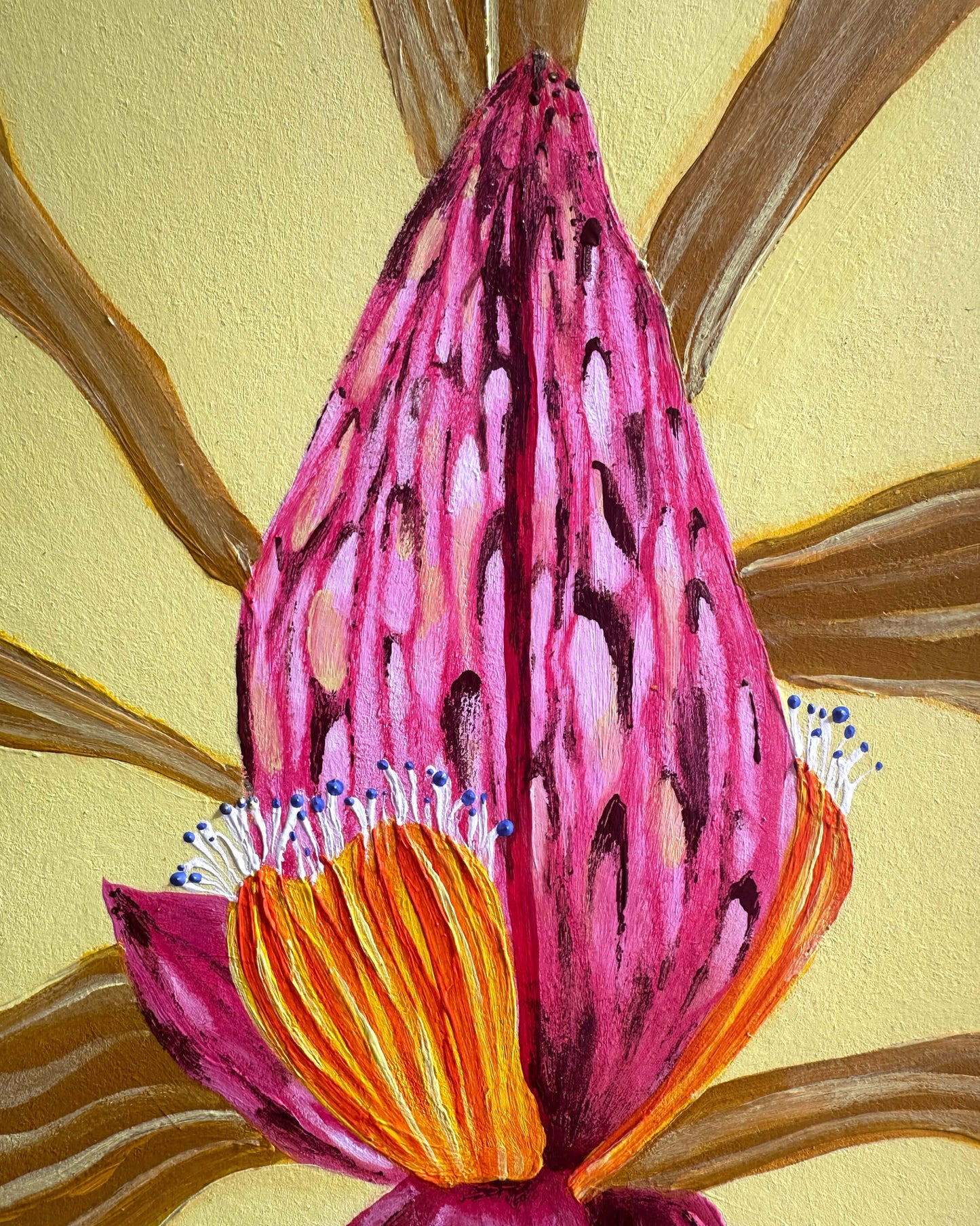 Pink Bananas