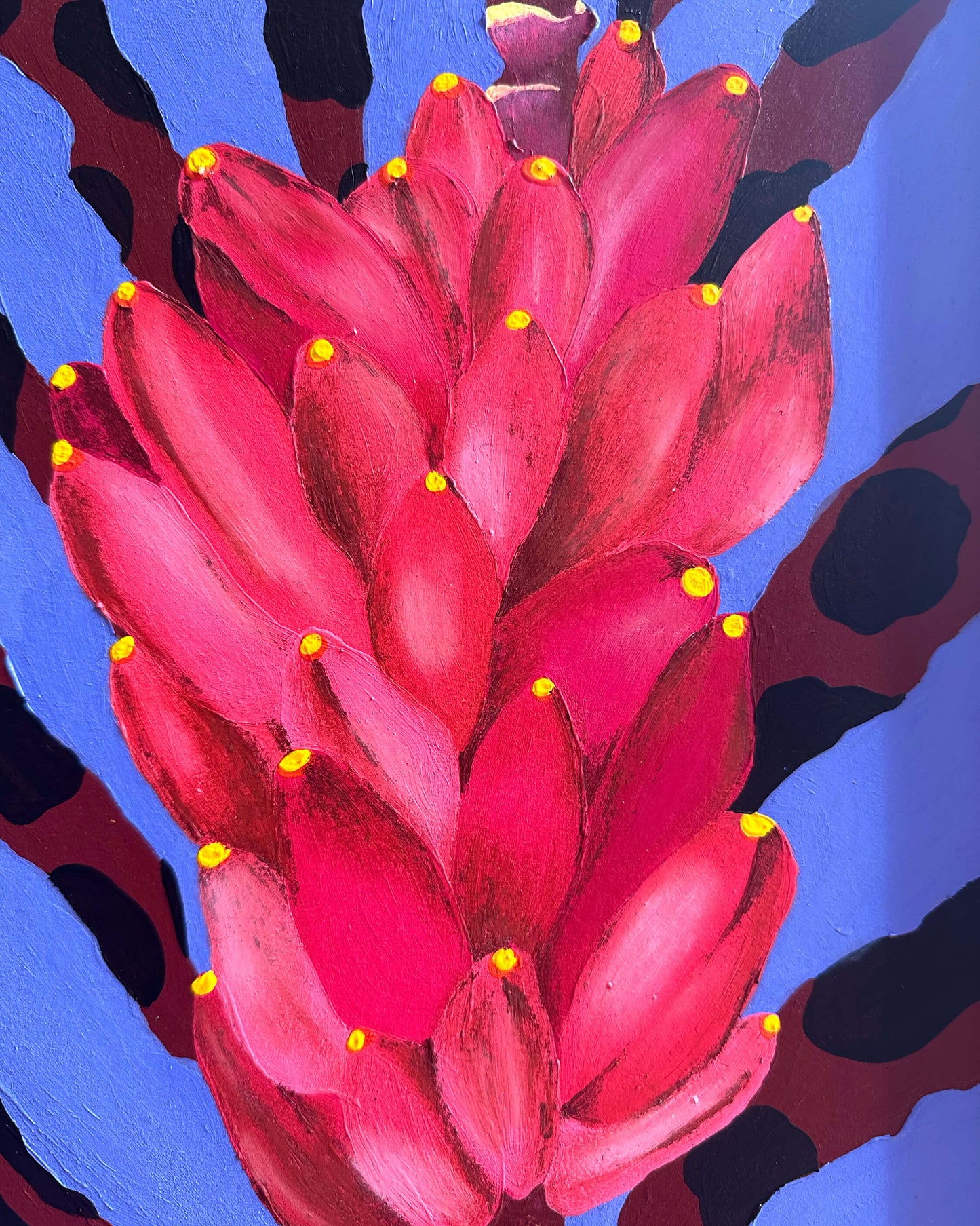 Pink Bananas