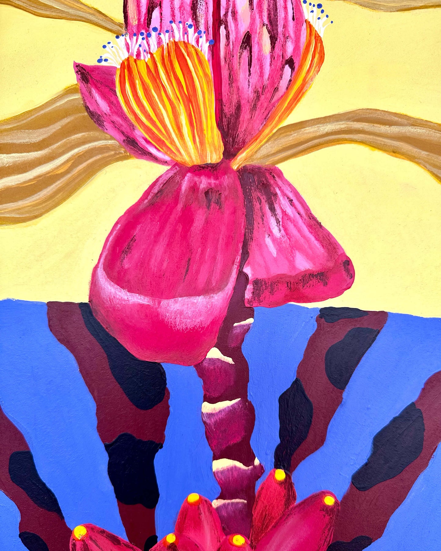 Pink Bananas