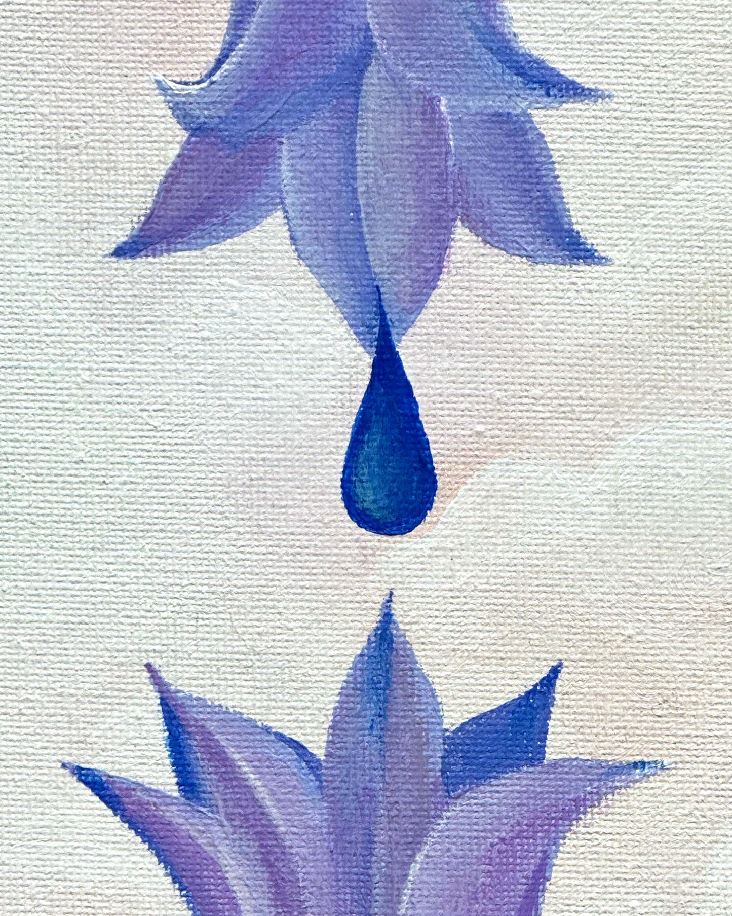 The Drop We Share