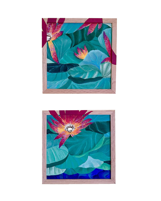 Water Lilies