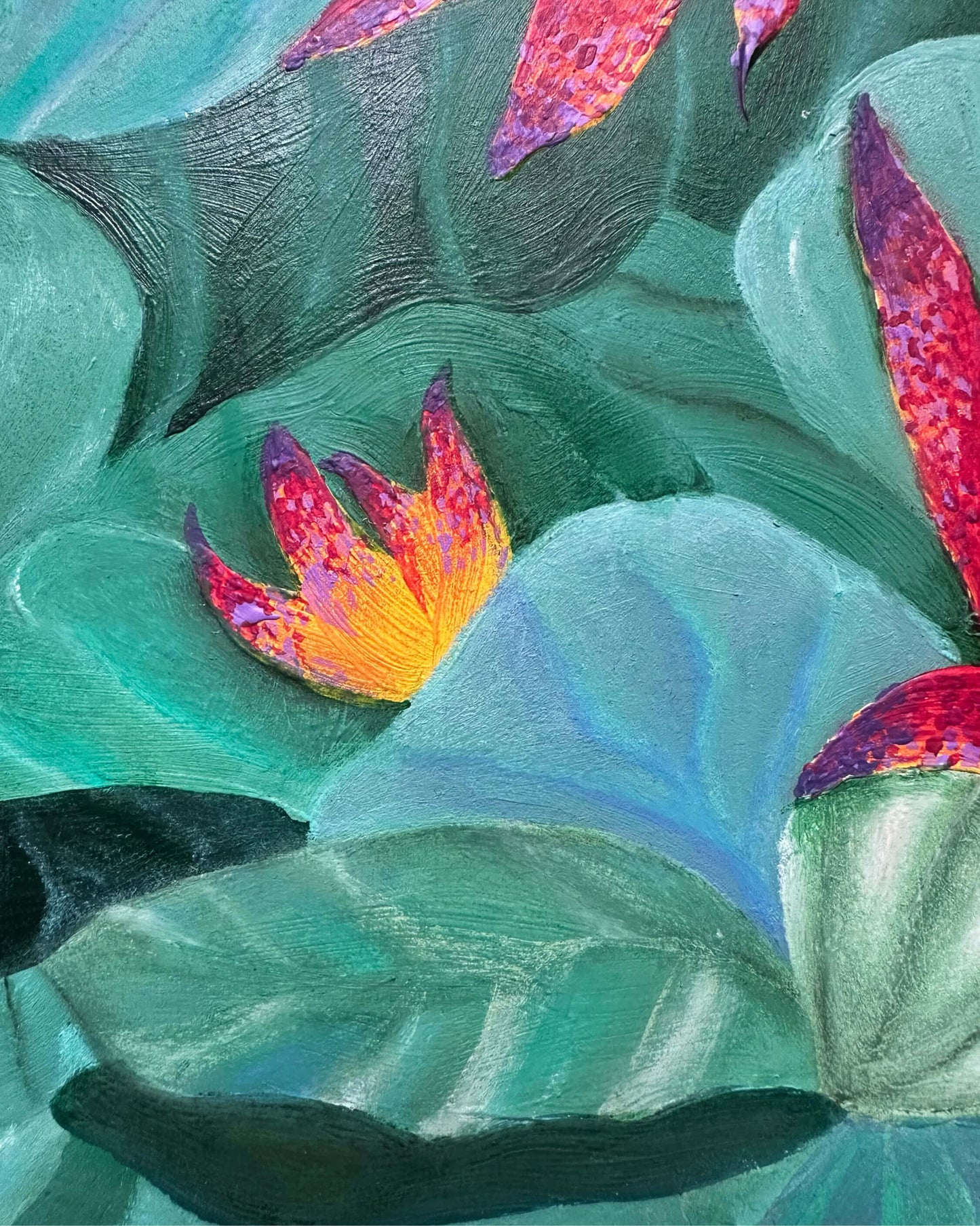 Water Lilies